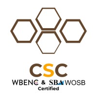 Coordinated Systems Consulting logo - Similar company to Lendvious