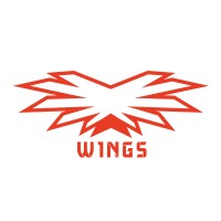 W1NGS logo - Similar company to Fundacja Ergo
