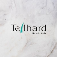 Teilhard Transplante Capilar logo - Similar company to Capilarpro - Medicina E Transplante Capilar