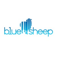 Blue Sheep Marketing Digital