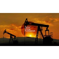 Senior Energy Professionals México logo - Similar company to Upc México