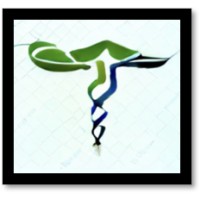 Predictive Healthcare, Llc