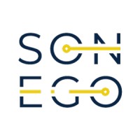 Sonego ltd. logo - Similar company to Construtora Piucco Ltda
