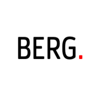 Berg Trust & Consulting Ltd. logo - Similar company to Zongo Development Fund