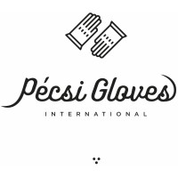 Pécsi Gloves International logo - Similar company to Burn Kickboxing