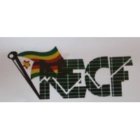 National Economic Consultative Forum logo - Similar company to Ledriz