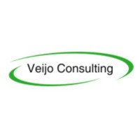 Veijo Consulting logo - Similar company to Park Styling
