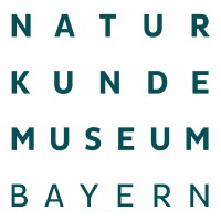 BIOTOPIA Lab | Naturkundemuseum Bayern logo - Similar company to Gemeinde Pullach I. Isartal