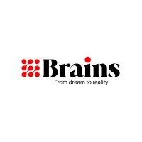 BRAINS TS logo - Similar company to Brains Technology Solutions