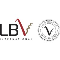 LBV International logo - Similar company to Lbv
