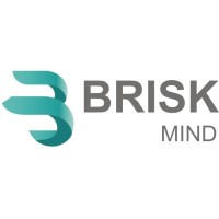 Brisk Mind Pvt. Ltd. logo - Similar company to Dowxter Web Solutions