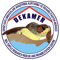 DEKAMER logo - Similar company to Diversea