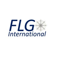 FLG INTERNATIONAL LIMITED logo - Similar company to Cloudvizor