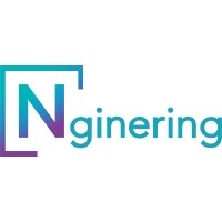 Nginering logo - Similar company to Pyramid Systems, Inc.