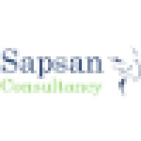 Sapsan Consultancy logo - Similar company to Sapsun Sàrl