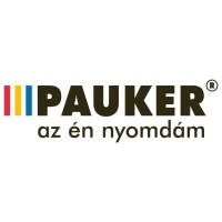 Pauker Holding logo - Similar company to Wpviking Ltd. | Master Wordpress - Quickly And Easily. Like A True Viking.