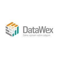 DataWex logo - Similar company to Datawen - Ai Products Platform
