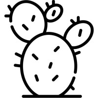 Data Cactus logo - Similar company to Cactus Hr