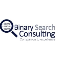 Binary Search Consulting logo - Similar company to Binary.By