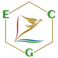 ECG Global Solutions logo - Similar company to Future Carbon Ltd.