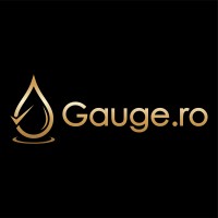 Gauge.ro logo - Similar company to Php Scripts Mall Private Limited