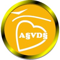 ASVDS - Associação Vertentes e Desafios da Segurança logo - Similar company to Perfectdecibel