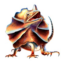 Red Desert Games logo - Similar company to Say Design, Inc.