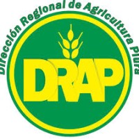 Dirección Regional de Agricultura - Piura logo - Similar company to Lima Coffee Perú