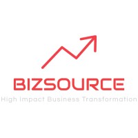 BizSource Consultancy logo - Similar company to Ngami Logistics