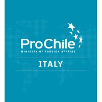 ProChile Italia logo - Similar company to Prochile Uk