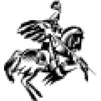 White Knight Steamer Professional Carpet & Upholstery Cleaner logo - Similar company to Wsm Solutions Pvt Ltd.