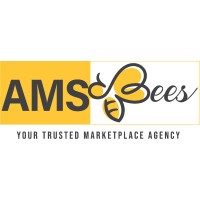 AMSbees (erstwhile Prime Branding) logo - Similar company to Teambees Corp