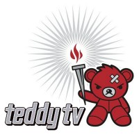 TEDDY TV logo - Similar company to Trygderetten