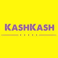 KashKash logo - Similar company to Sensibo