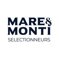 Mare & Monti SSIP Sàrl logo - Similar company to Prostep It Services Sa