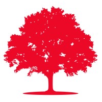 Alnus Yatırım Menkul Değerler A.Ş. logo - Similar company to Intersection