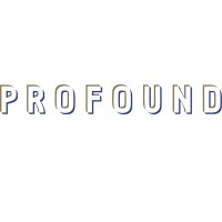 Profound Investment Management logo - Similar company to Myb.