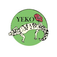 MJE YEKO logo - Similar company to Mje Yapi Expertise