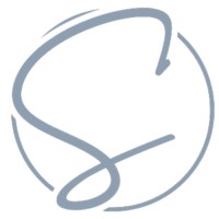 Statso logo - Similar company to Thecleverprogrammer