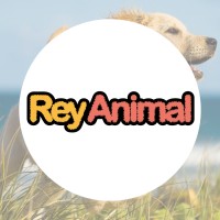 Rey Animal - Tienda para mascotas y animales logo - Similar company to Tramp Pet Food
