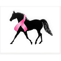 Black Horse Tack logo - Similar company to Carlton Farrier Tools