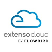 EXTENSO PARTNER logo - Similar company to Saluto
