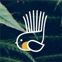 Fantail Estudio