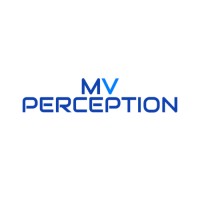 MV PERCEPTION logo - Similar company to Valuesite Ltda