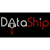DataShip logo - Similar company to A+ Resumes