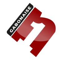 La1Gabonaise logo - Similar company to Nesstra