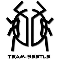 Team Beetle