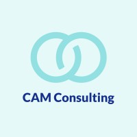 CAM Consulting logo - Similar company to Cam Consulting Solutions