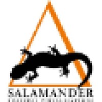 Salamander Business Visualisations logo - Similar company to How To Data Ltd