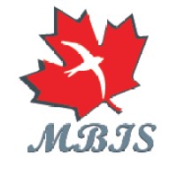 Migrating Bird Immigration Services Inc. logo - Similar company to Jai Stern Solicitors